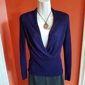 V-neck purple cardigan sweater, the Limited